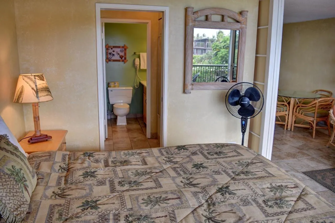 Mana Kai 311a Apartment Wailea (Maui)