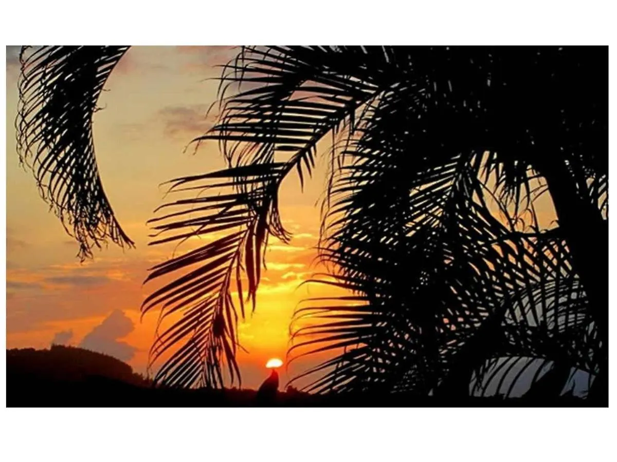 Adventure In Paradise Bed & Breakfast 4*