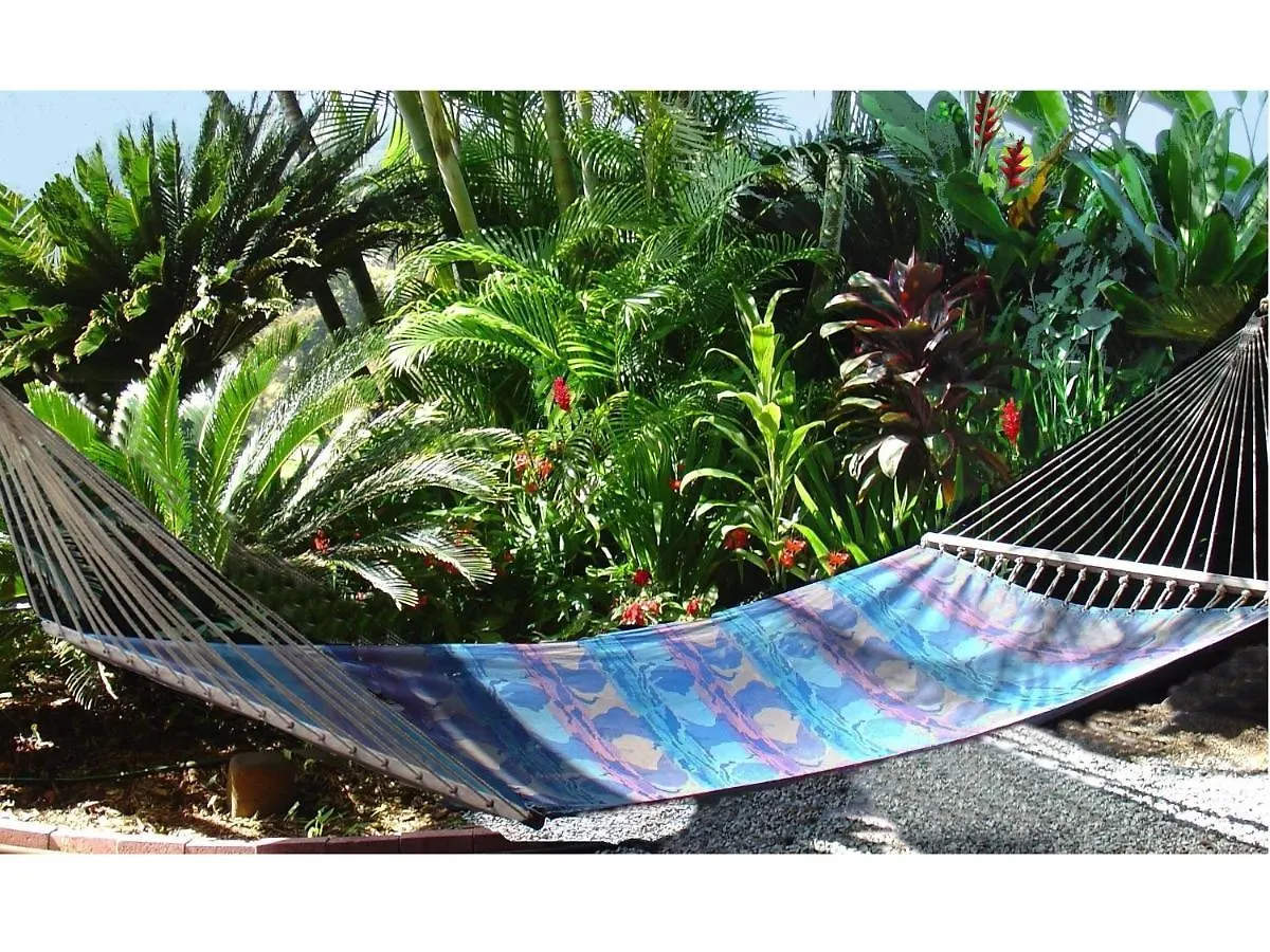 Bed & Breakfast Adventure In Paradise Haiku