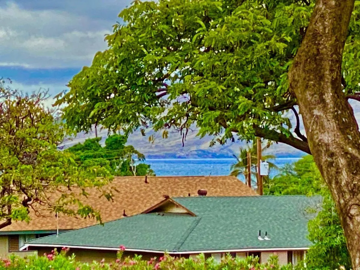 Maui-licious By The Apartment *