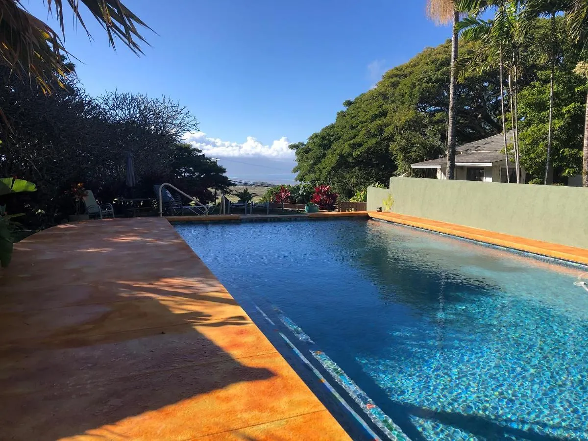 Bed & Breakfast Banyan Tree Retreat