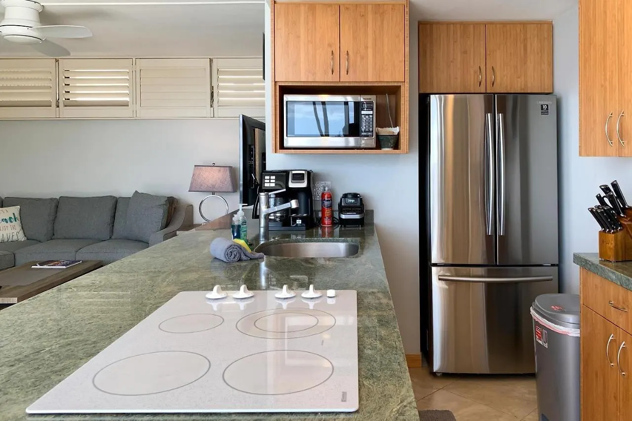 Kamaole Nalu 305, Breathtaking Ocean Views, Ac Holiday home