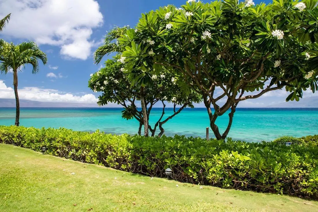 Kuleana 401 Holiday home