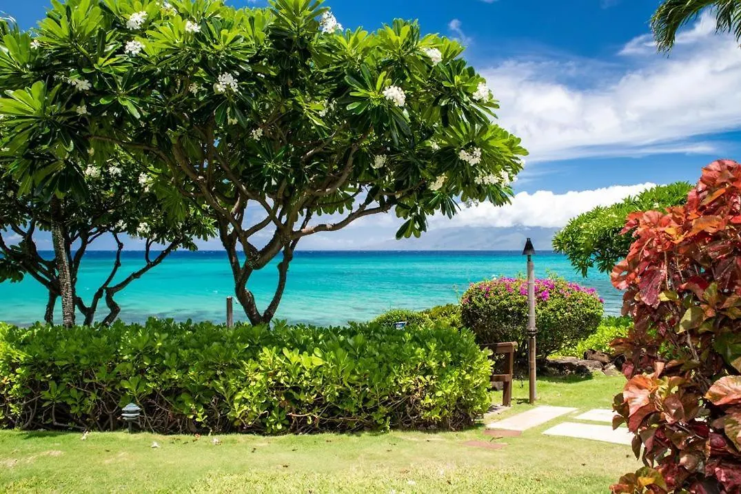 Kuleana 401 *