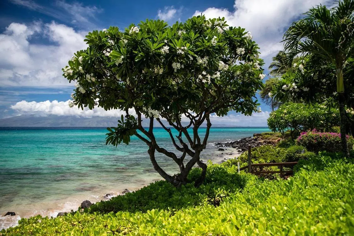 Holiday home Kuleana 401 Kahana