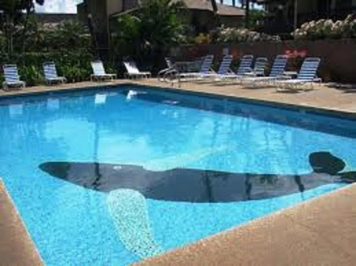Garden Estates G102 - One Bedroom Holiday home