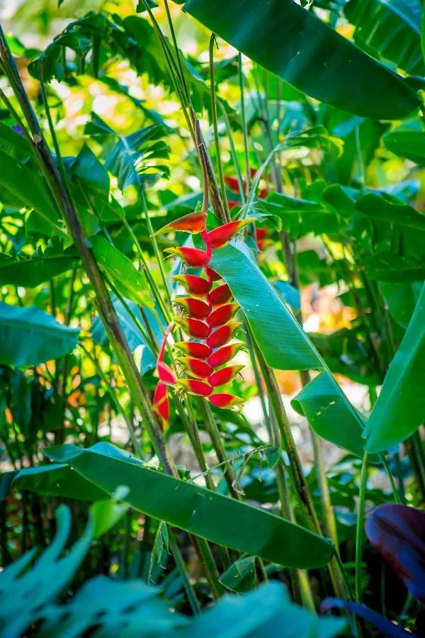 Lumeria Maui, Educational Retreat Center אכסניה *