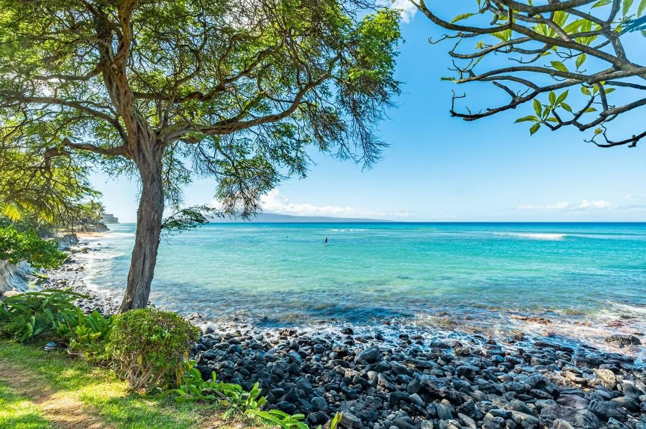 Kuleana 706 *