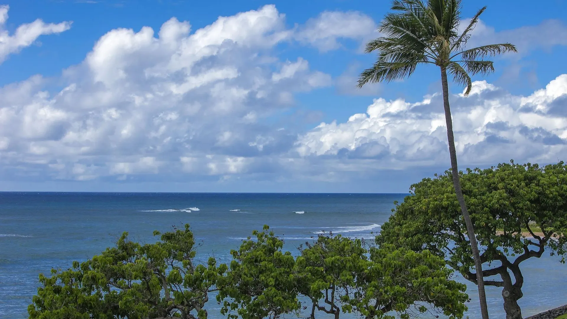 Kahana Reef By Maui And