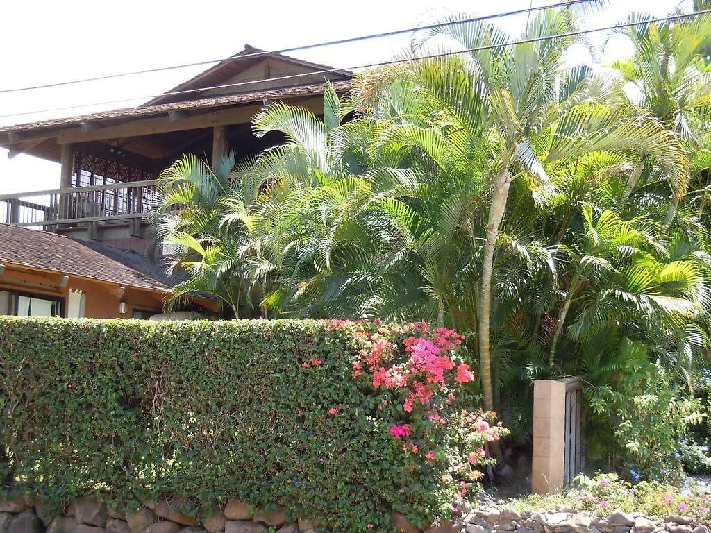 Bed & Breakfast Maui What A Wonderful World 3*