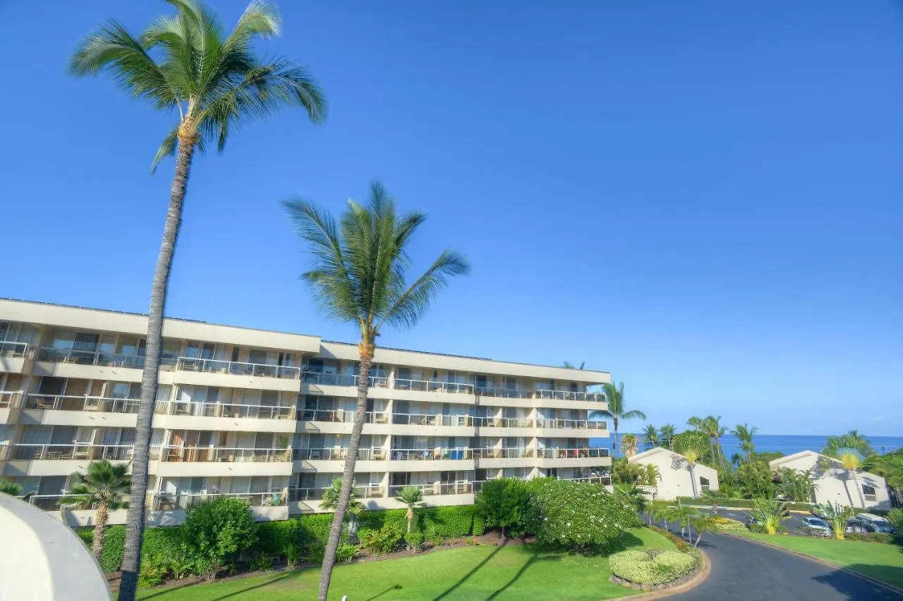 Maui Banyan