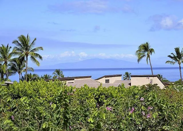 Wailea Ekahi 17E Daire *