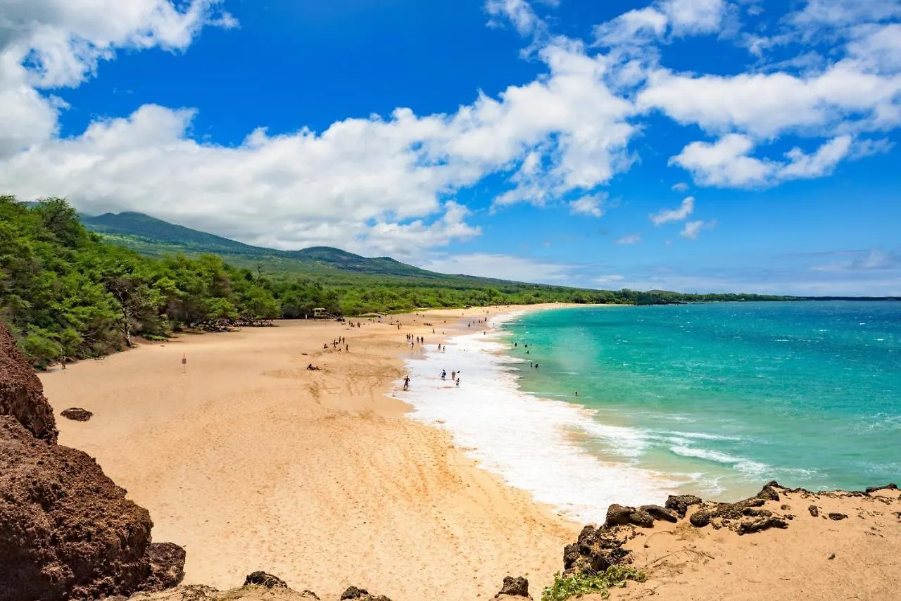 Daire Wailea Ekahi 17E