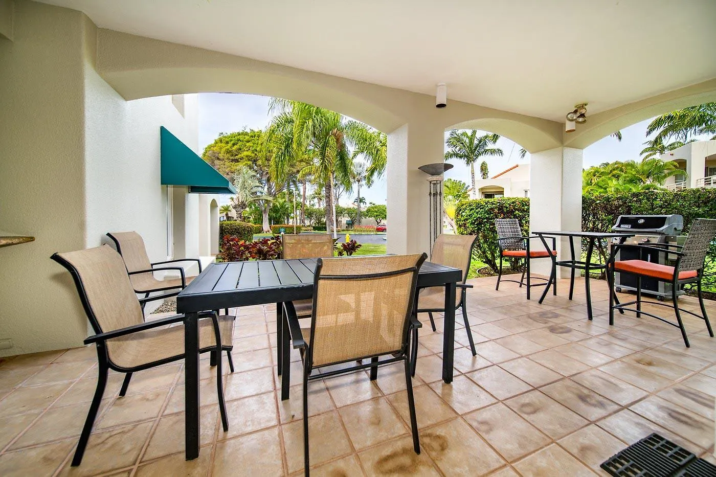 Palms At