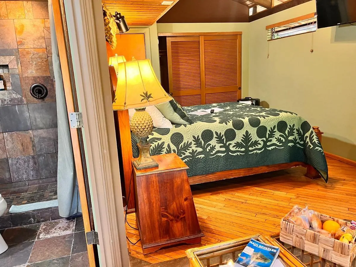 Bed & Breakfast Maui What A Wonderful World Wailea (Maui)