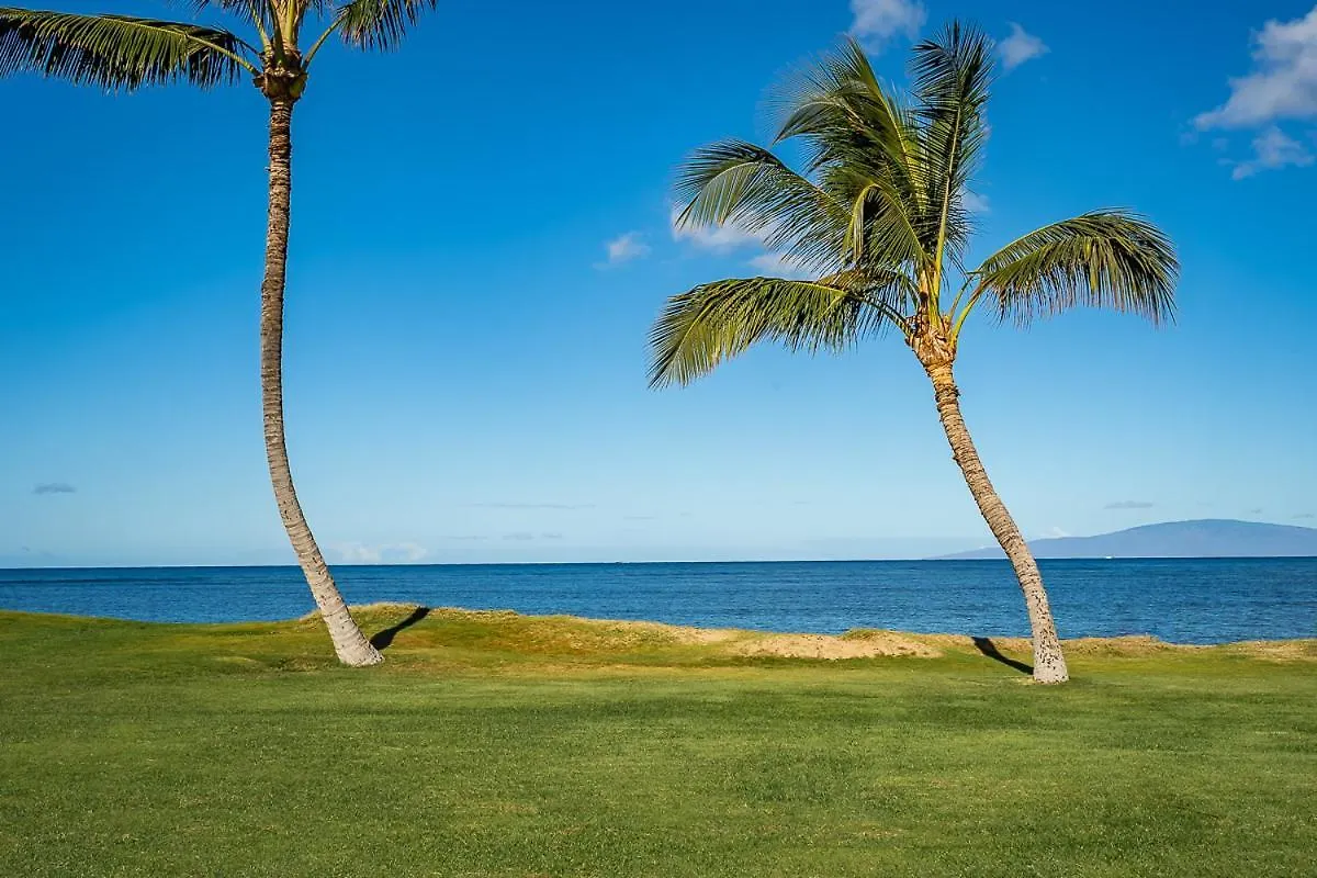 Maui Sunset B-115 *
