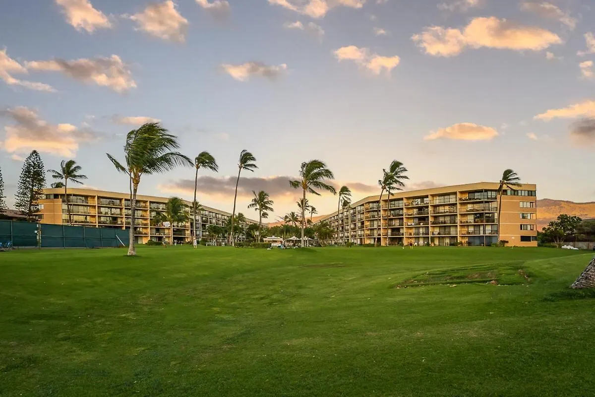 Maui Sunset B-115 *