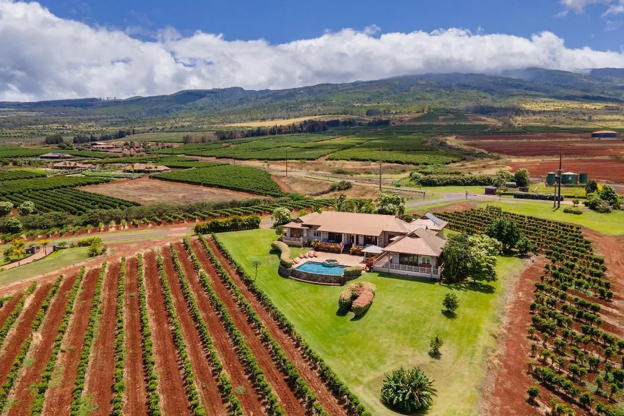 Rainbow Hale Estate Holiday home *