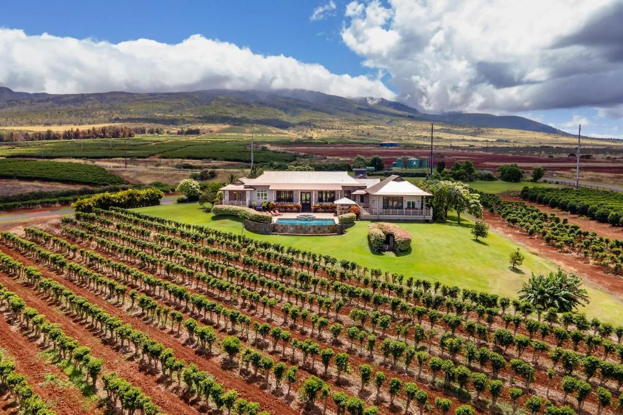 Rainbow Hale Estate Holiday home