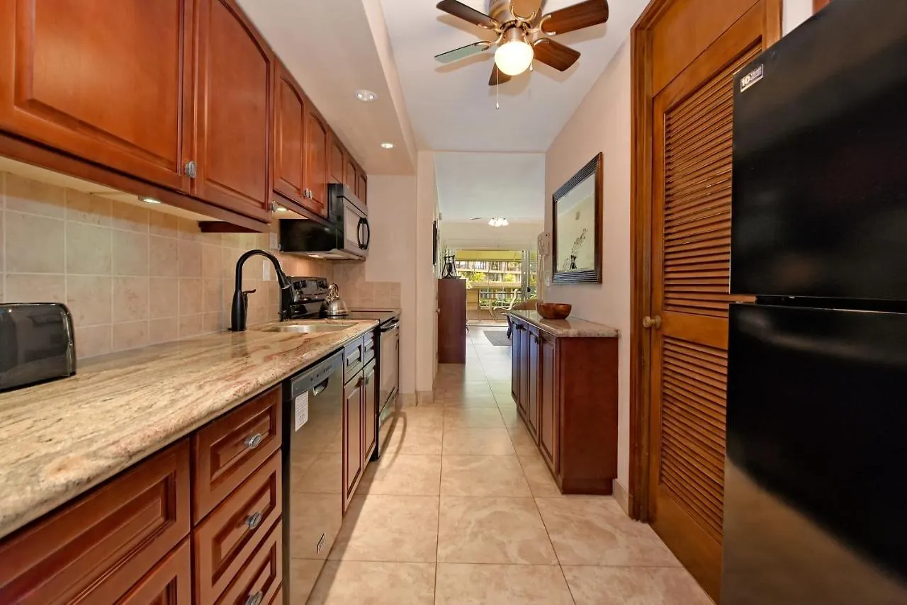 Maui Kaanapali #b233 Appartement