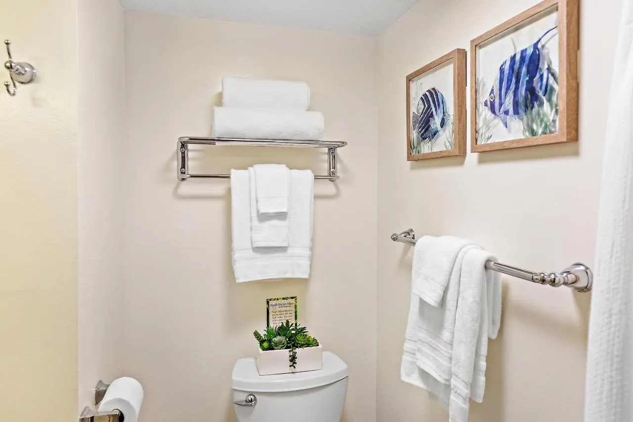 Napili Shores F150 Holiday home Kahana
