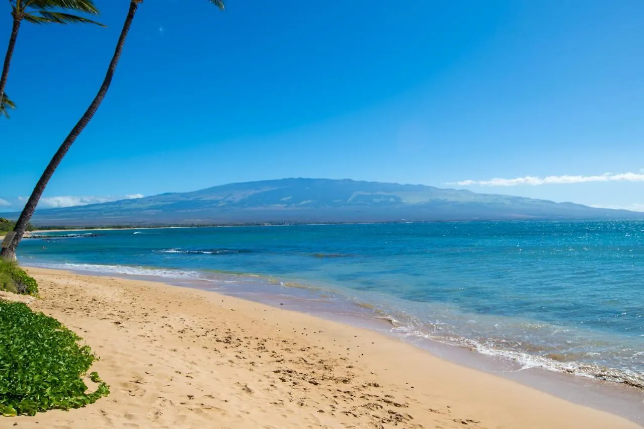 Kanai A Nalu 210 Holiday home Wailuku