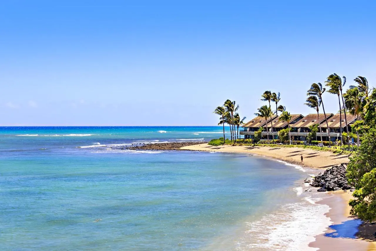 Reef 318 Holiday home Kahana
