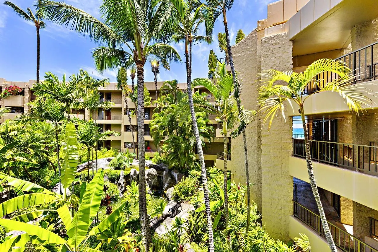Paki Maui 319