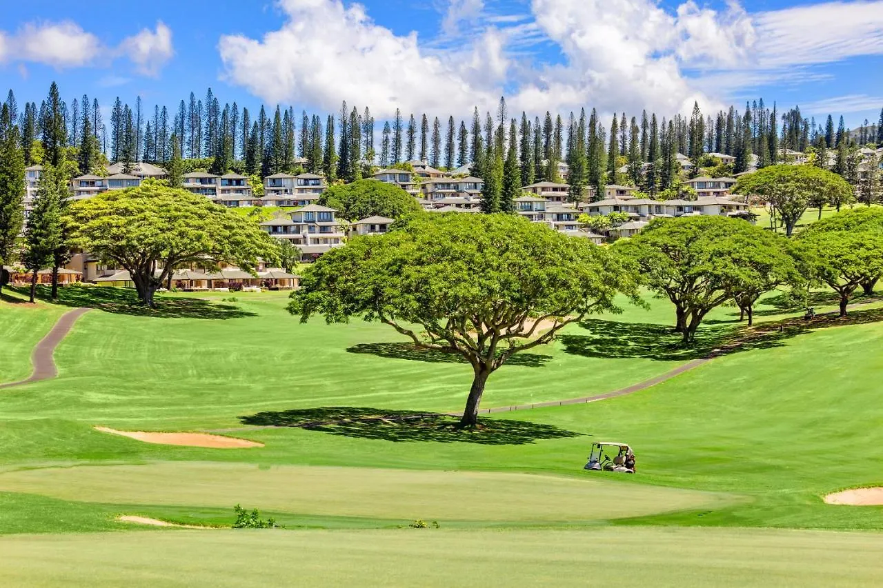 Kapalua Golf 15t 7&8 Holiday home *