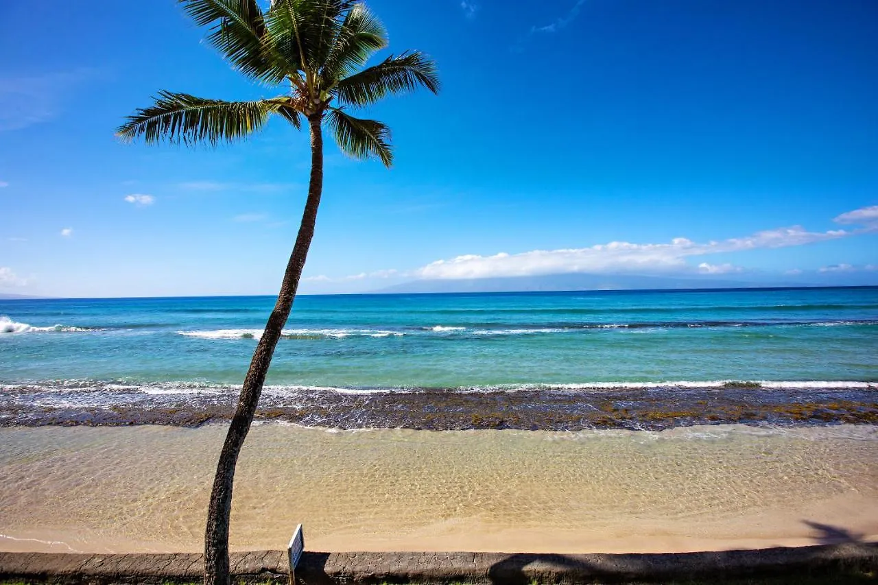 Maui Seaside 711