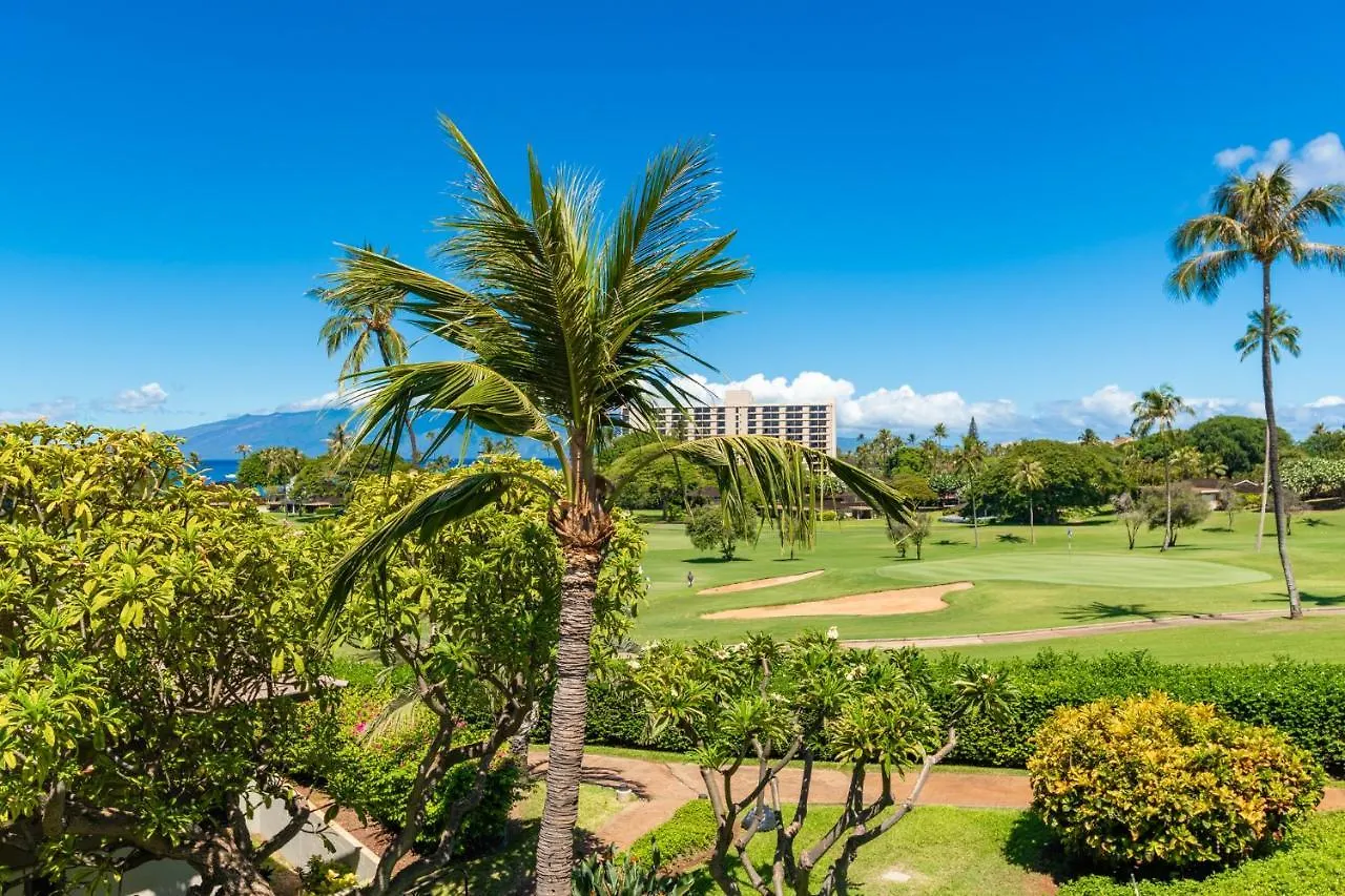 Maui Eldorado K211 * Kahana