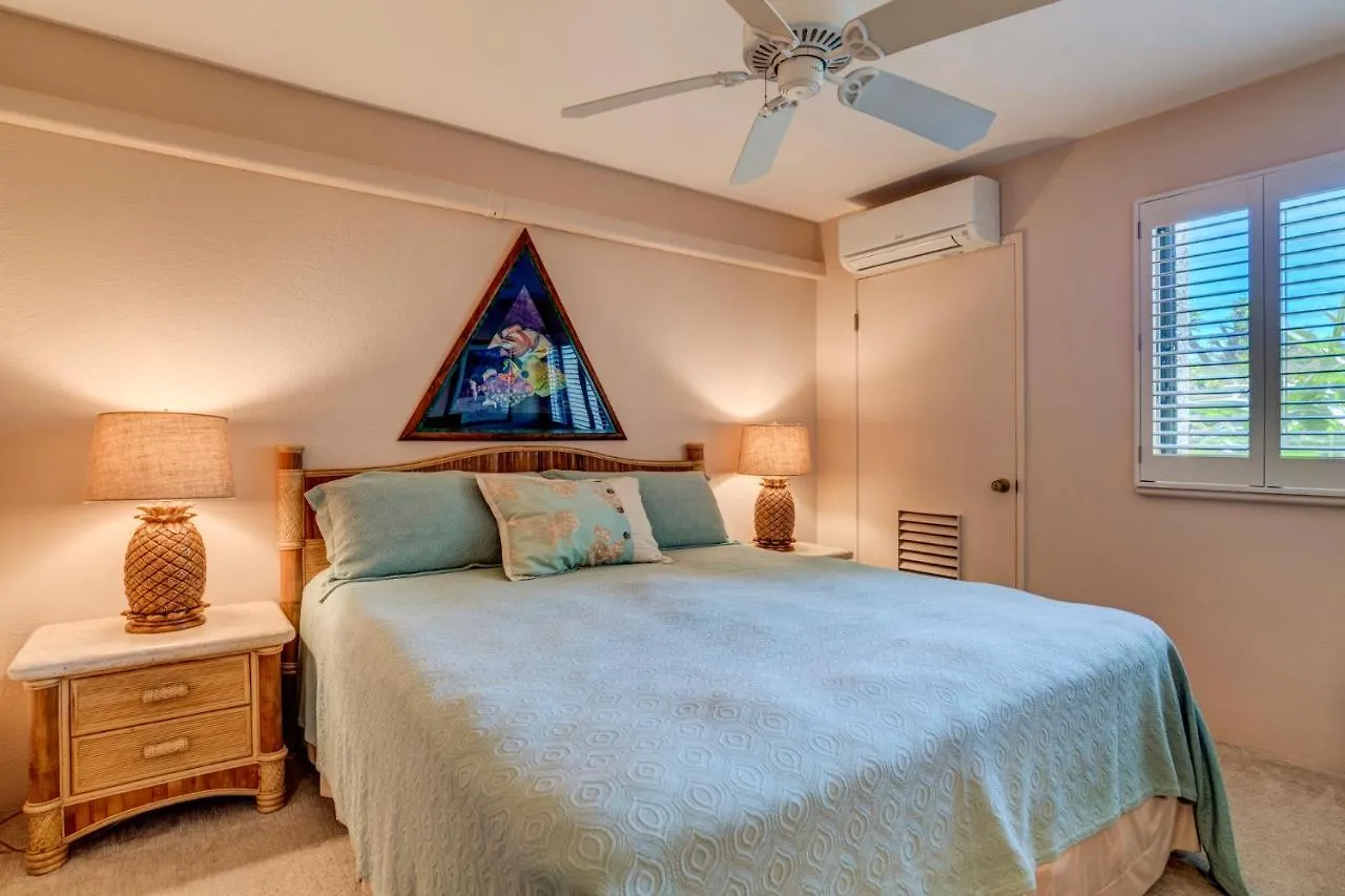 Napili Point B34 Holiday home *