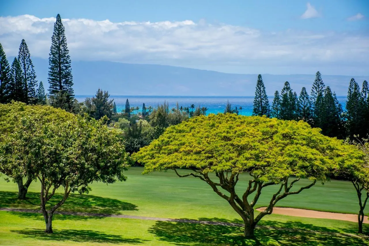 Holiday home Kapalua Golf 16v 2 *