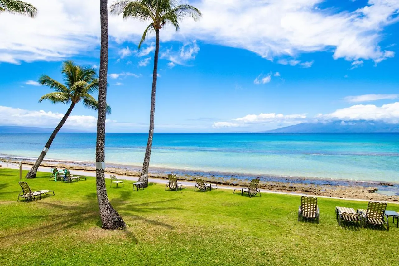 Paki Maui 105 *