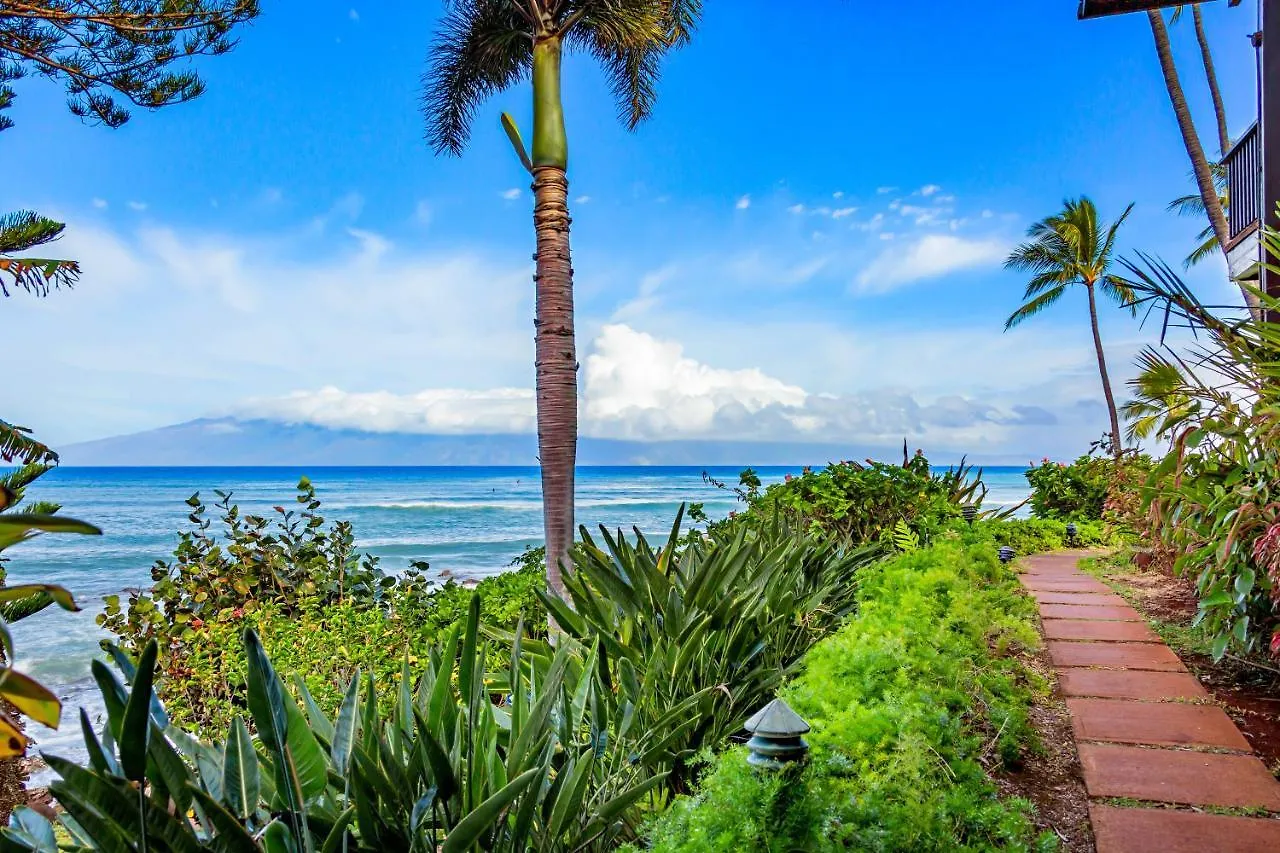 Mahina Surf 205