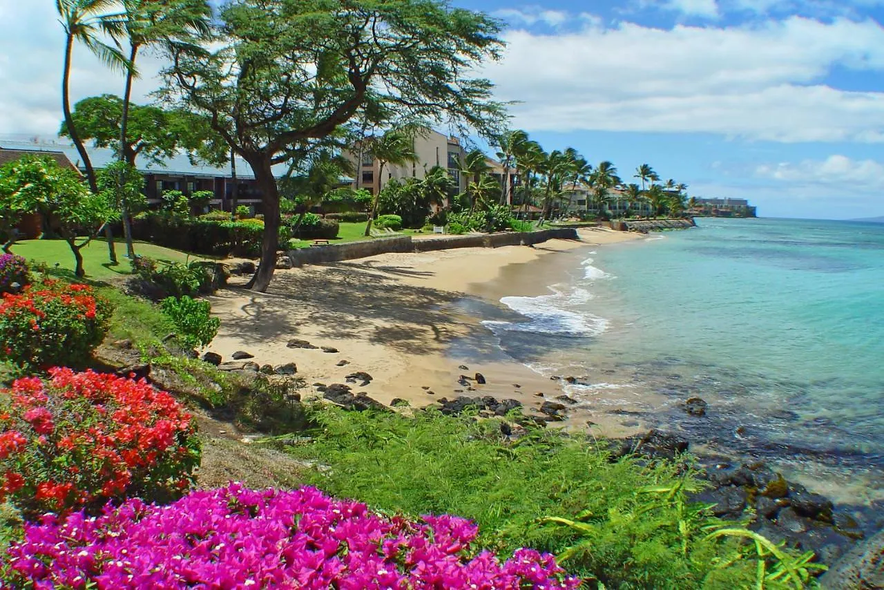 Apartment Kuleana #206