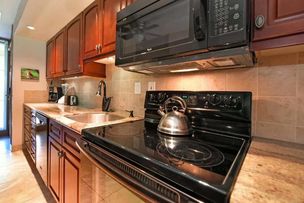 Appartement Maui Kaanapali #b233