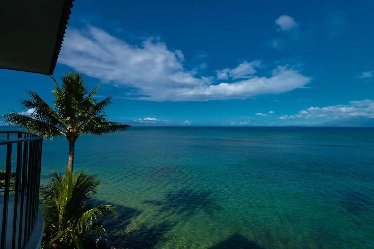 Reef #402 *