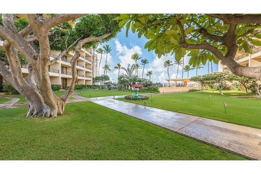 Sugar #227 Kihei