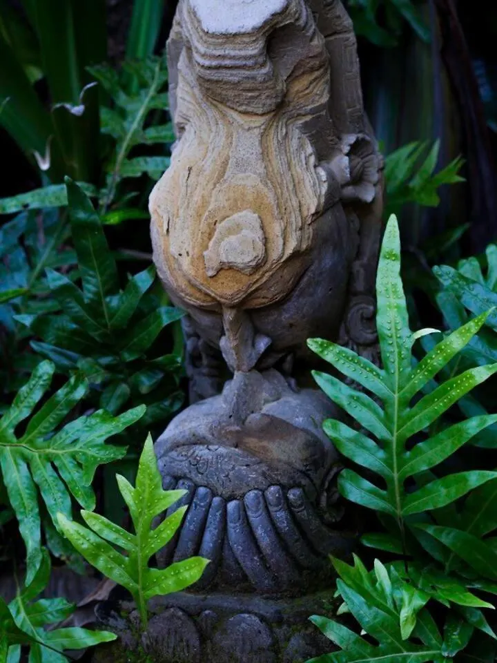 Chalet Jasmine On Lush Farm In Haiku, Maui Jungle *