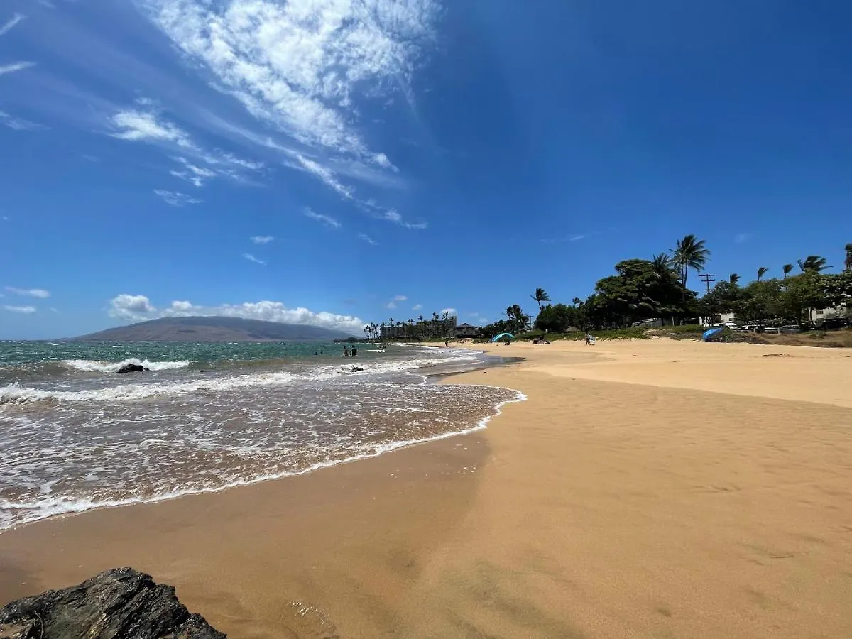 Aparthotel Deluxe Panoramic Ocean View - Dual Ac - Renovated - Fully Equipped - Self Mgmt Free Parking *