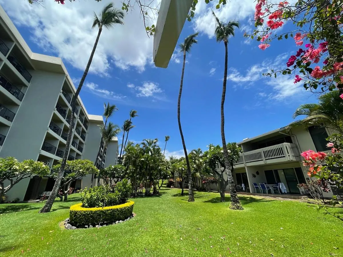 Deluxe Panoramic Ocean View - Dual Ac - Renovated - Fully Equipped - Self Mgmt Free Parking Aparthotel