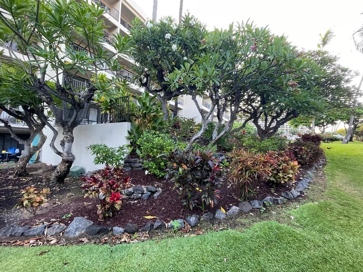 Deluxe Panoramic Ocean View - Dual Ac - Renovated - Fully Equipped - Self Mgmt Free Parking