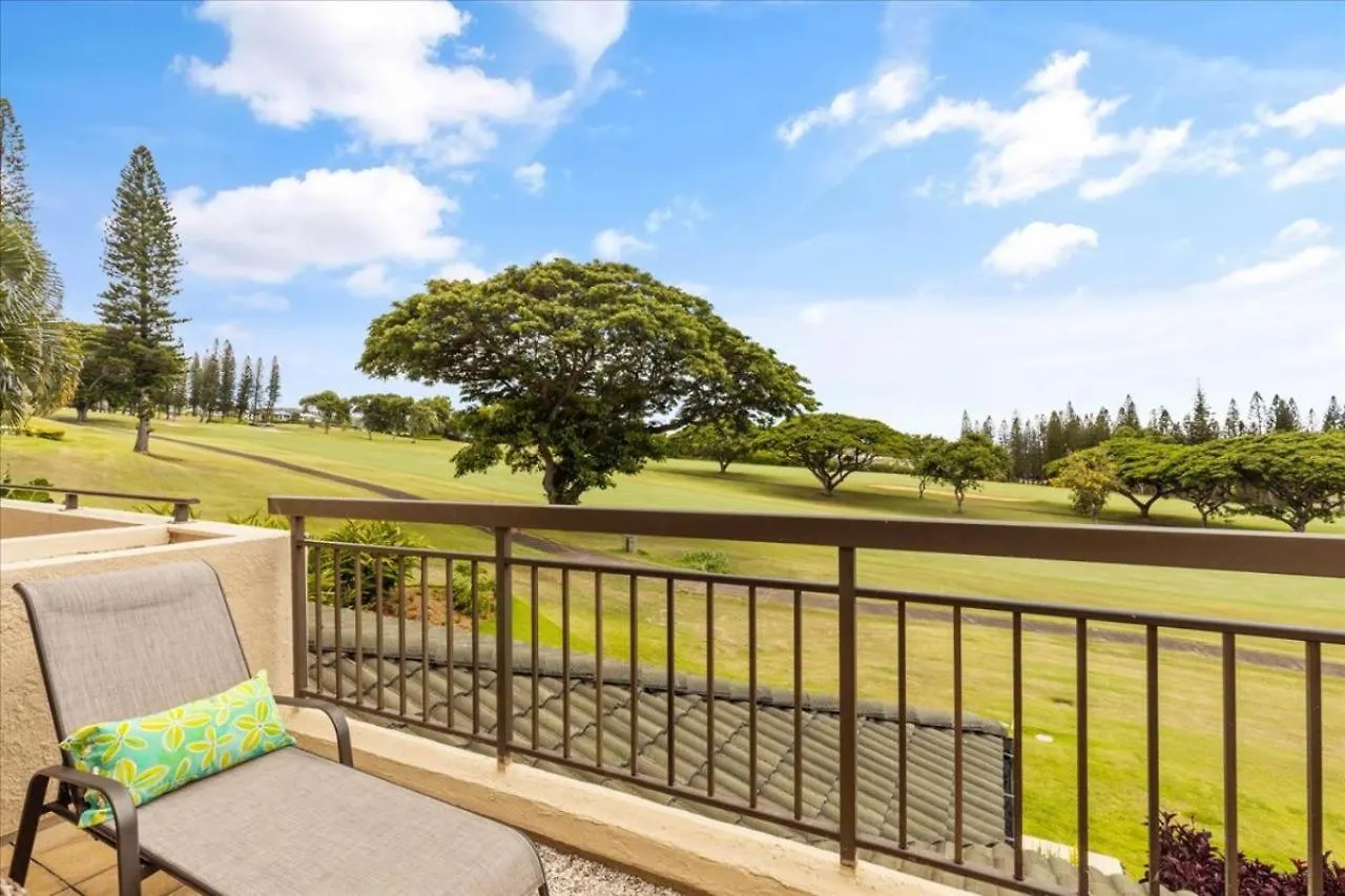 Kapalua Golf 15t 2 Holiday home *