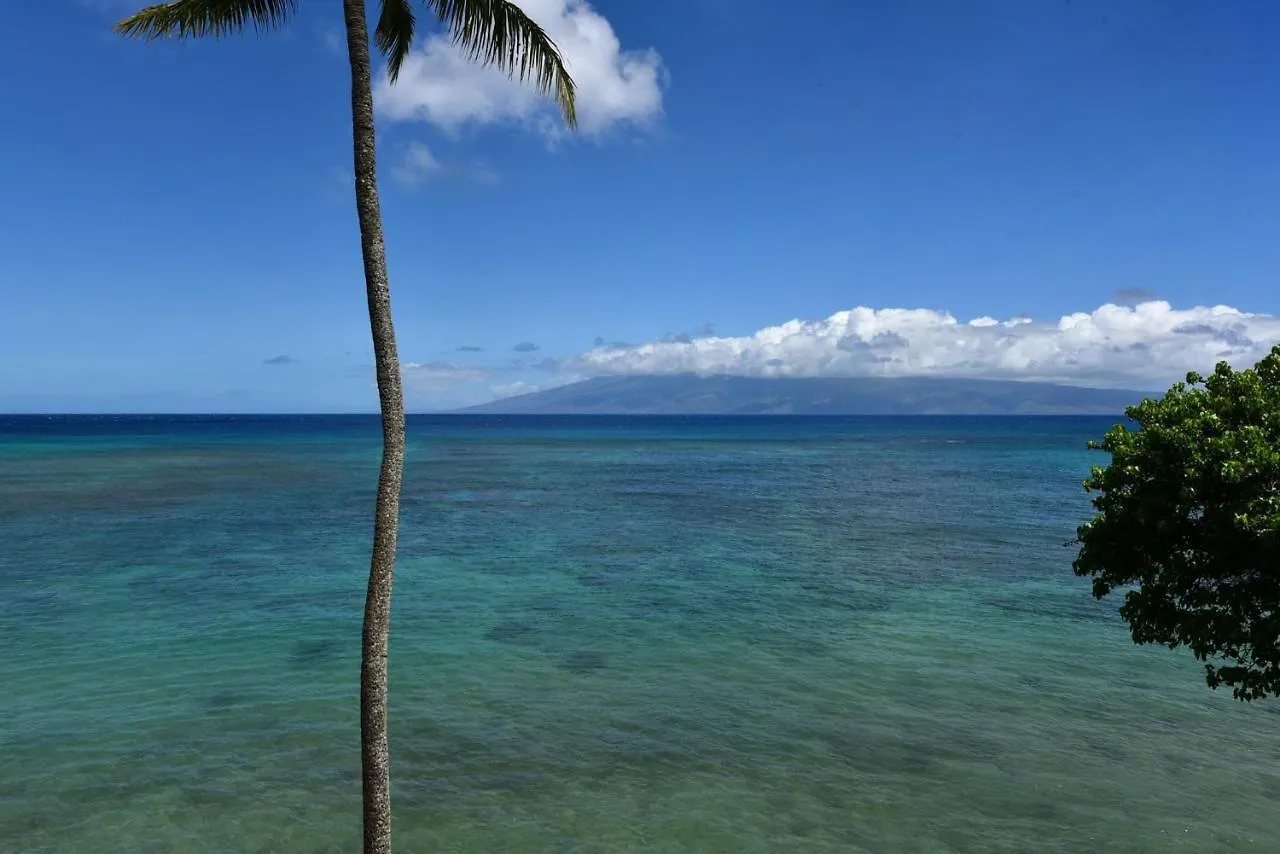 Reef #414 * Kahana