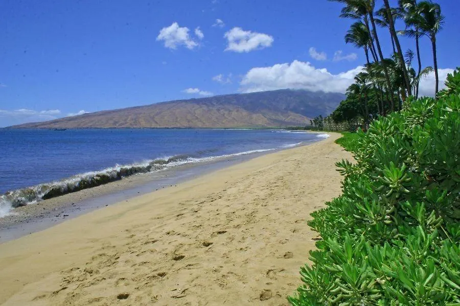 公寓 Beach, #506^ *