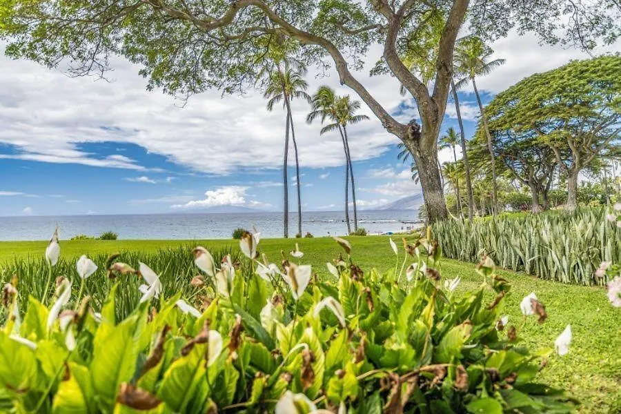 Wailea Elua, #1305^ Apartment