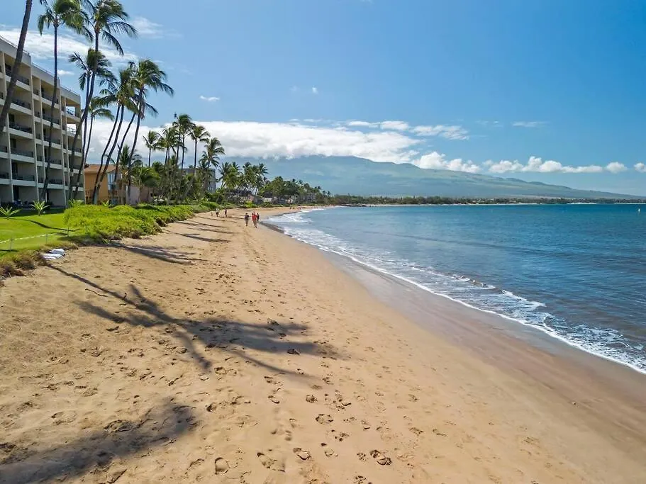 Apartment Sugar 531- Direct Oceanfront Gem At Sugar *