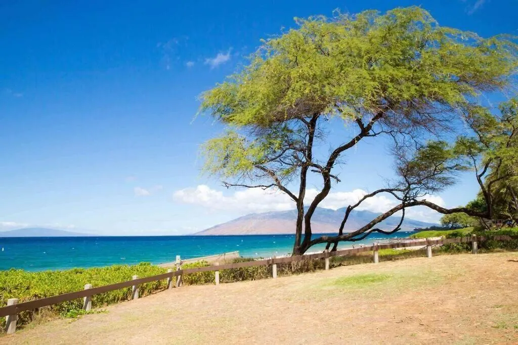 Hale Kamaole 7-169- Ground Floor, Ocean View, Updated Kihei Gem Apartment