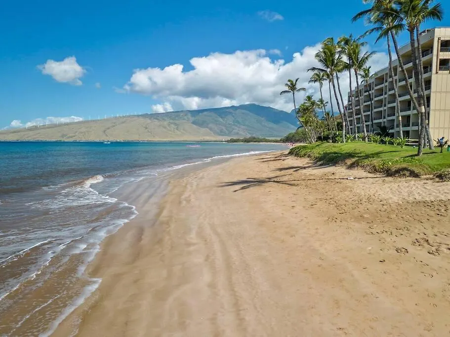 Apartment Sugar 518- Updated Oceanfront Gem At Sugar